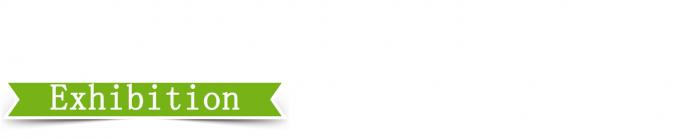 Presse de vulcanisation de plaques de 25 T à haute précision de contrôle 4