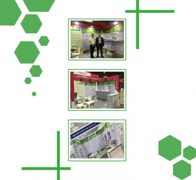 Presse de vulcanisation de plaques de 25 T à haute précision de contrôle 5