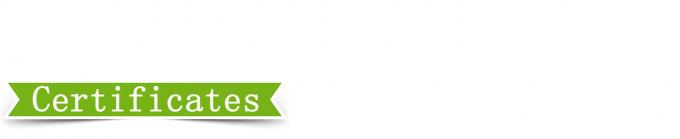 Presse de vulcanisation de plaques de 25 T à haute précision de contrôle 6