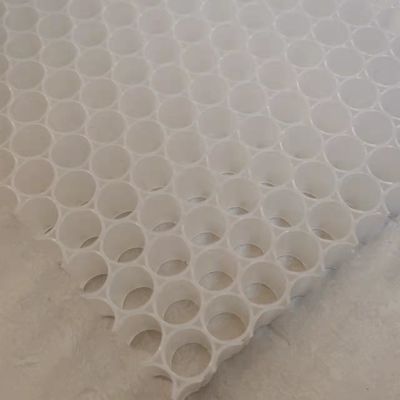 Âme en nid d'abeilles en plastique de la palette pp de Pickleball 1220x2440mm