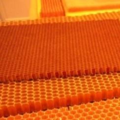 Âme en nid d'abeilles de Para Aramid ultra de haute résistance et rigidité