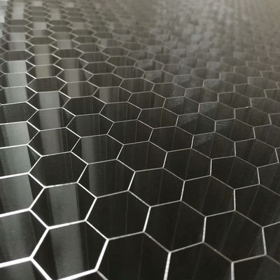 Grands âme en nid d'abeilles en aluminium de la taille 3003 de cellules 5052 pour le filtre