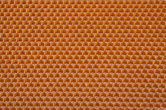 Poids léger de haute résistance domestique d'âme en nid d'abeilles de Nomex de catégorie d'aviation