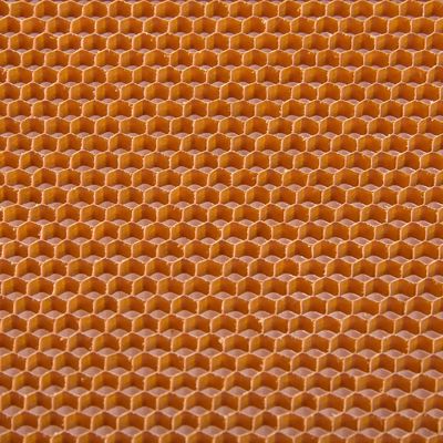 Taille hexagonale de papier légère 3.2mm de cellules de trou de nid d'abeilles d'âme en nid d'abeilles d'Aramid