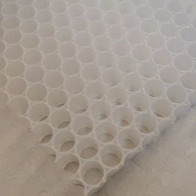 Paddle à pickleball en PP, noyau en coton-tige en plastique 1220x2440 mm