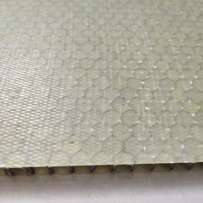 Panneau de sandwich en FRP légère 1000x2000 mm