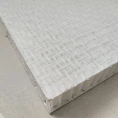Panneaux de nid d' abeille en FRP, panneaux de nid d' abeille en fibres de carbone